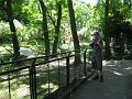 Zoo 12